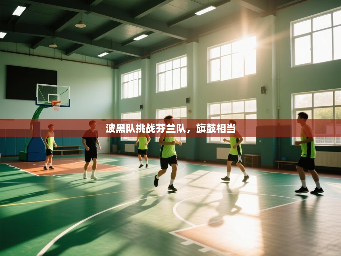 波黑队挑战芬兰队，旗鼓相当