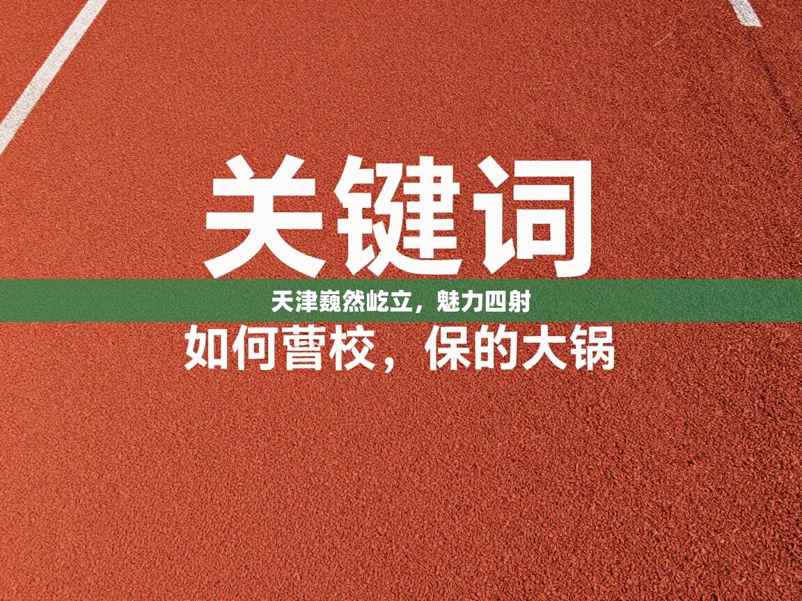 天津巍然屹立，魅力四射