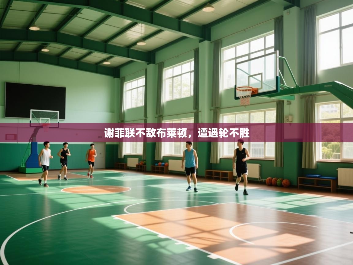 谢菲联不敌布莱顿，遭遇轮不胜