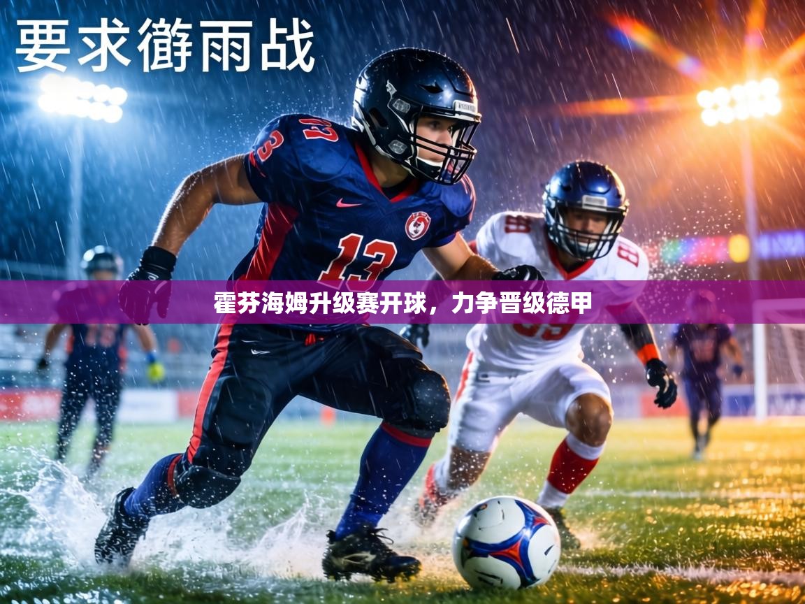 霍芬海姆升级赛开球，力争晋级德甲